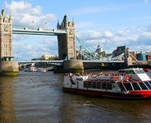 2 for 1 Cruises